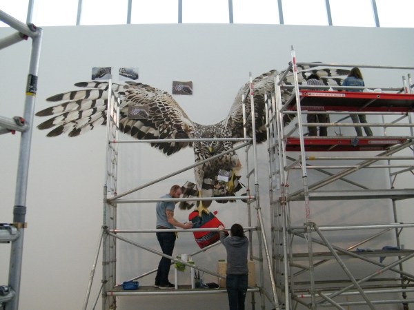 2014_10112014Deller20014